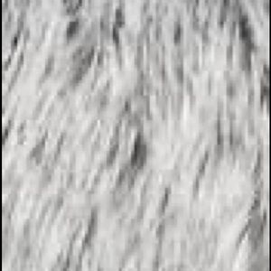 Meet your Posher, Daisy